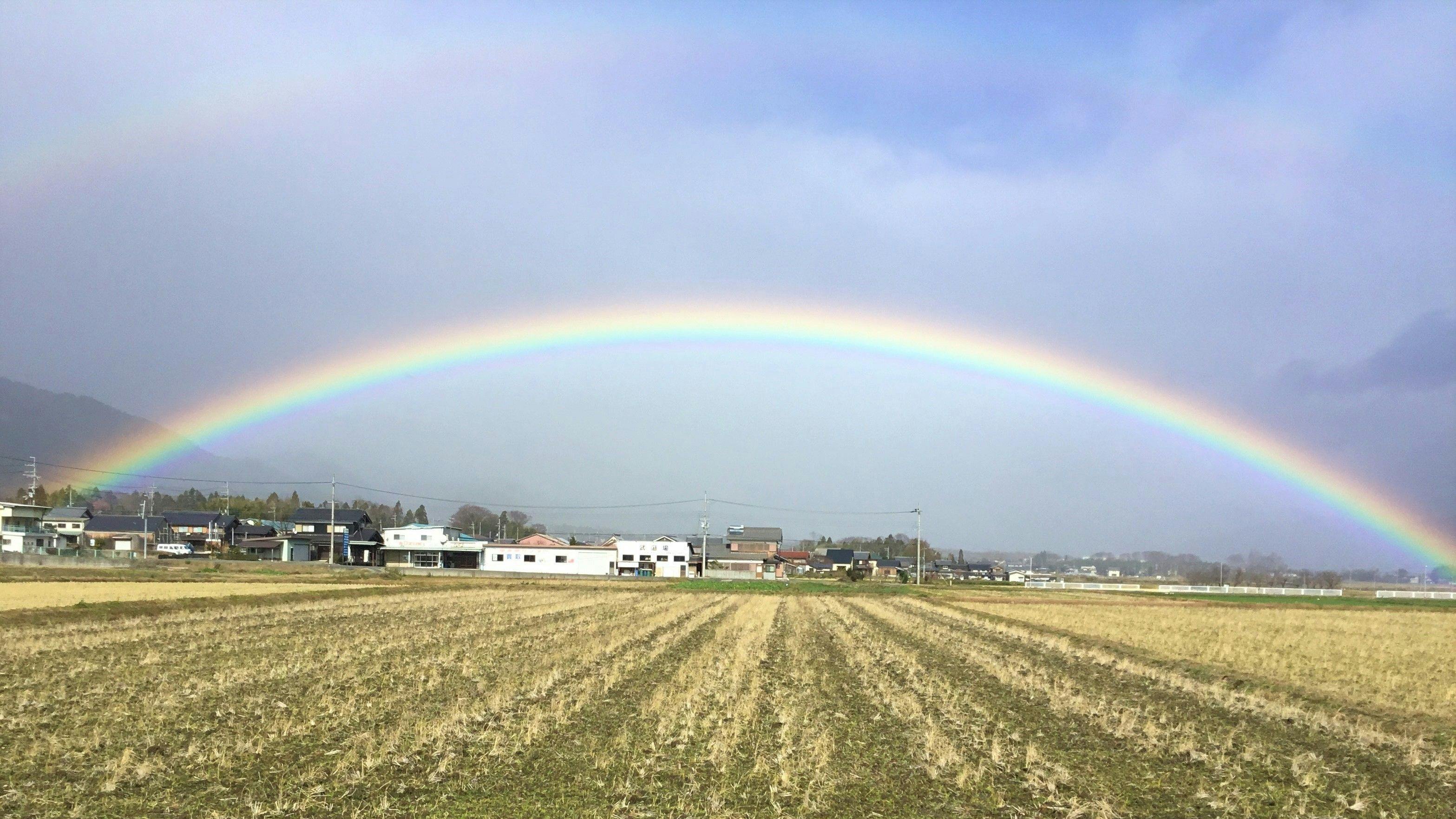 무지개 "Rainbow" 다카시마시 신아사히쵸 하리에 부근.