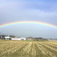 무지개 "Rainbow" 다카시마시 신아사히쵸 하리에 부근.