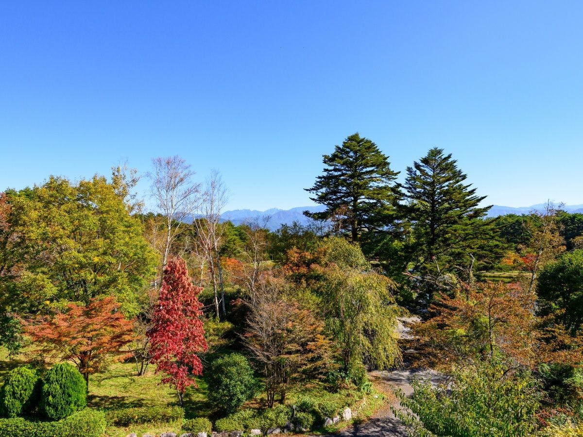 Hayataro Onsen - Suzuran Hayate, a Lakeside Inn in the Alps