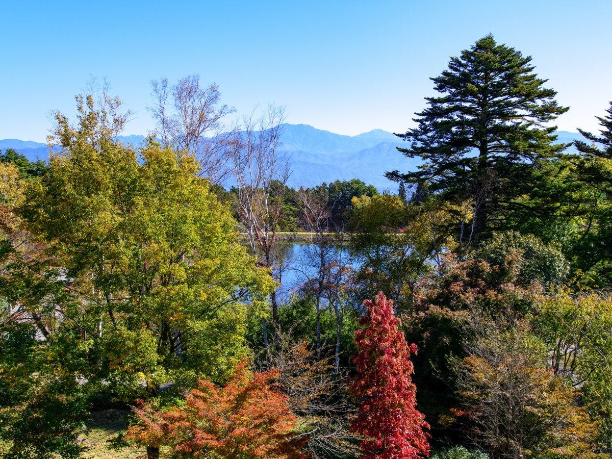 Hayataro Onsen - Suzuran Hayate, a Lakeside Inn in the Alps