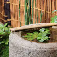 츠보 정원