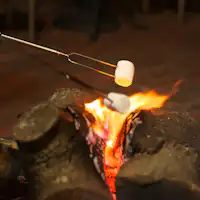 【เทอเรซ】