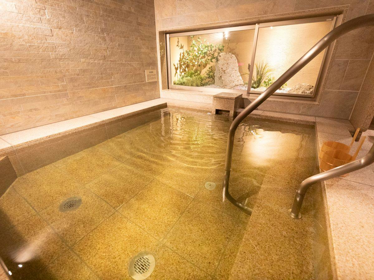 Natural Hot Spring Hidego no Yu Super Hotel Sano Fujioka