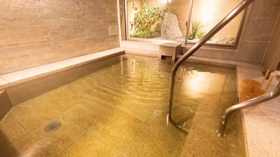Natural Hot Spring Hidego no Yu Super Hotel Sano Fujioka