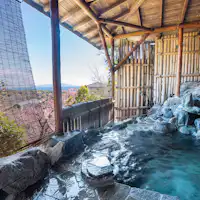 ออนเซ็นกลางแจ้ง (ส่วนตัว)