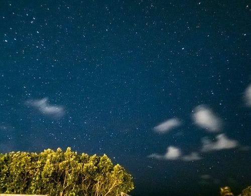 ガーデンから見える星空