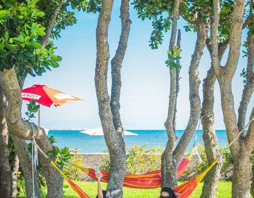 ガーデンハンモック