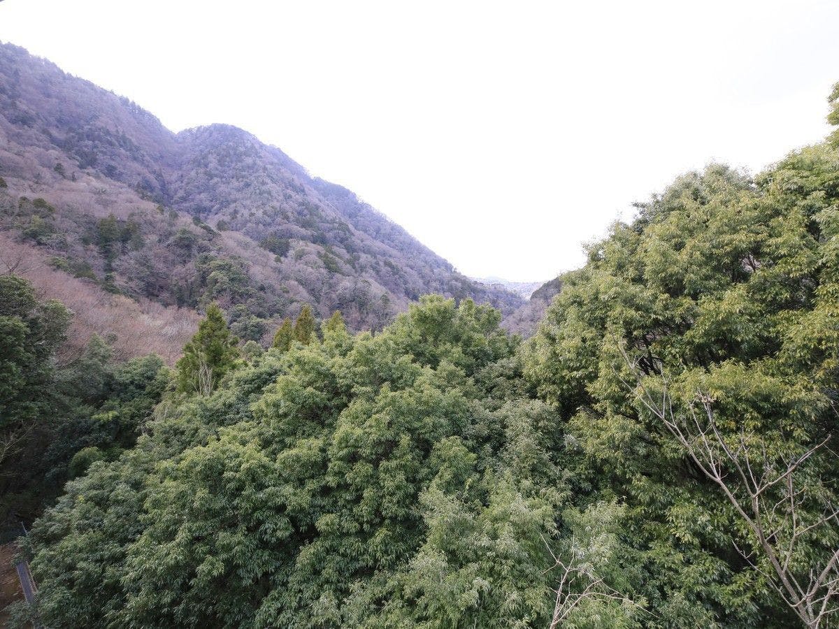 Hakone Suisen: Inn with Private Hot Spring Source