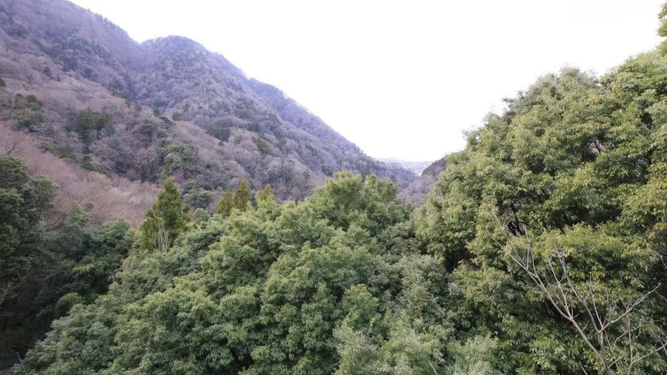 Hakone Suisen: Inn with Private Hot Spring Source