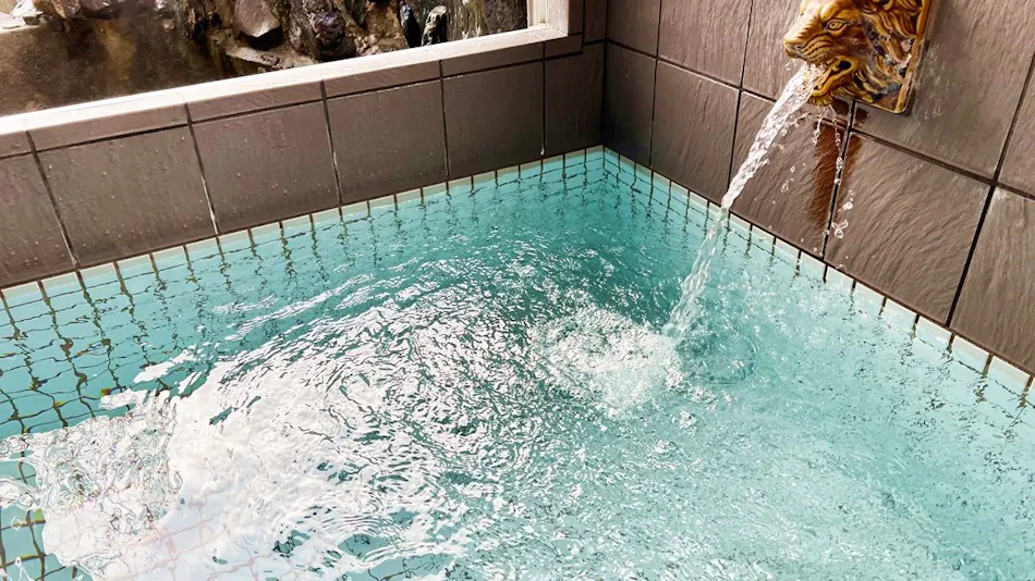 Yamaga Onsen Asahiya Ryokan