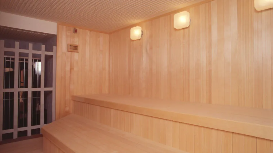 Natural Hot Spring Saku-no-Yu Saku Ichimanri Onsen Hotel (BBH Hotel Group)