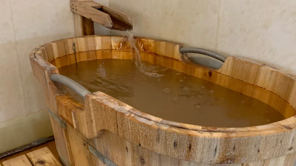 Natural Hot Spring Saku-no-Yu Saku Ichimanri Onsen Hotel (BBH Hotel Group)