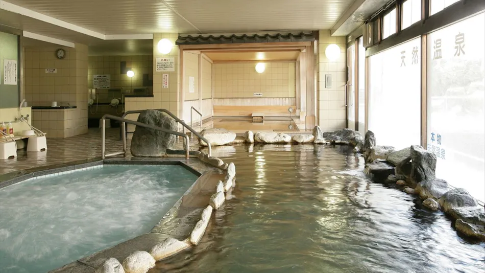 Natural Hot Spring Saku-no-Yu Saku Ichimanri Onsen Hotel (BBH Hotel Group)