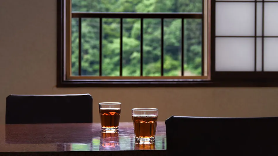 Tokamachi Inn Okuechigo Hatago Ichibankan