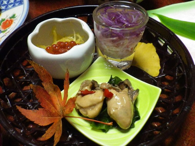 Tokamachi Inn Okuechigo Hatago Ichibankan