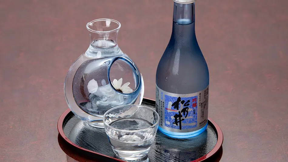 Tokamachi Inn Okuechigo Hatago Ichibankan