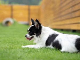 １ｃｏ．ＩＴＯＳＨＩＭＡ