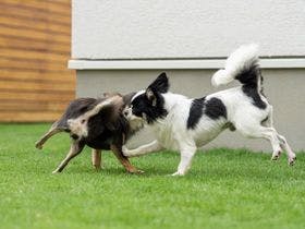 １ｃｏ．ＩＴＯＳＨＩＭＡ