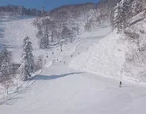 富良野スキーリゾート