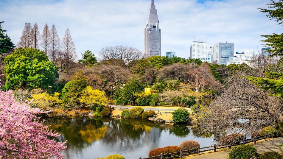 Hotel MyStays Nishi-Shinjuku