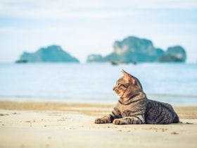 ＡＬＦＡＣＩＯ　ＲＥＳＯＲＴ　ＳＴＡＹ　ＩＴＯＳＨＩＭＡ　