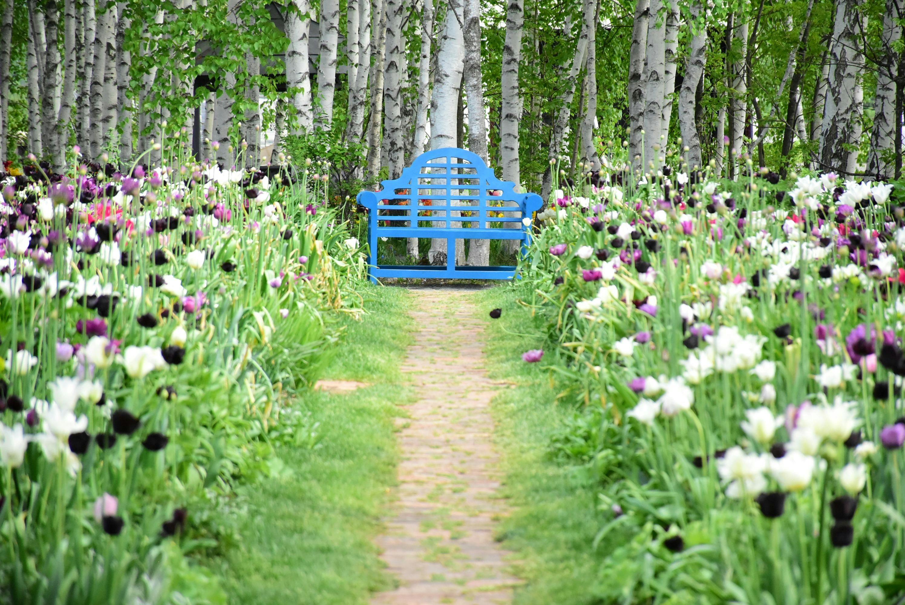 คำแนะนำบริเวณใกล้เคียง: ขับรถประมาณ 15 นาทีถึง Ueno Farm.