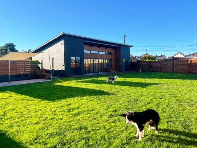 Harvey Dog Cottage