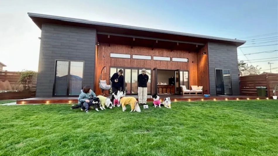 Harvey Dog Cottage