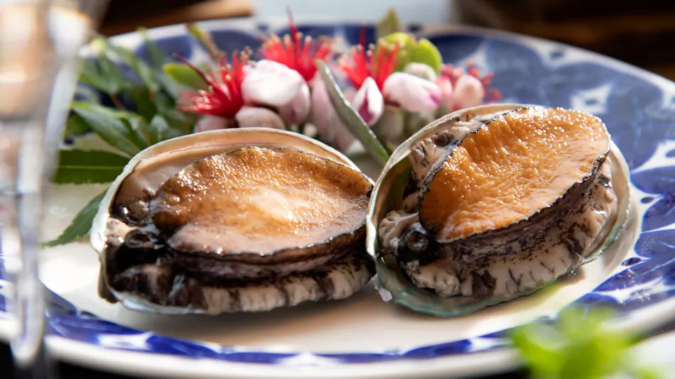 Toshimaya Villa: Sea and Sky and...