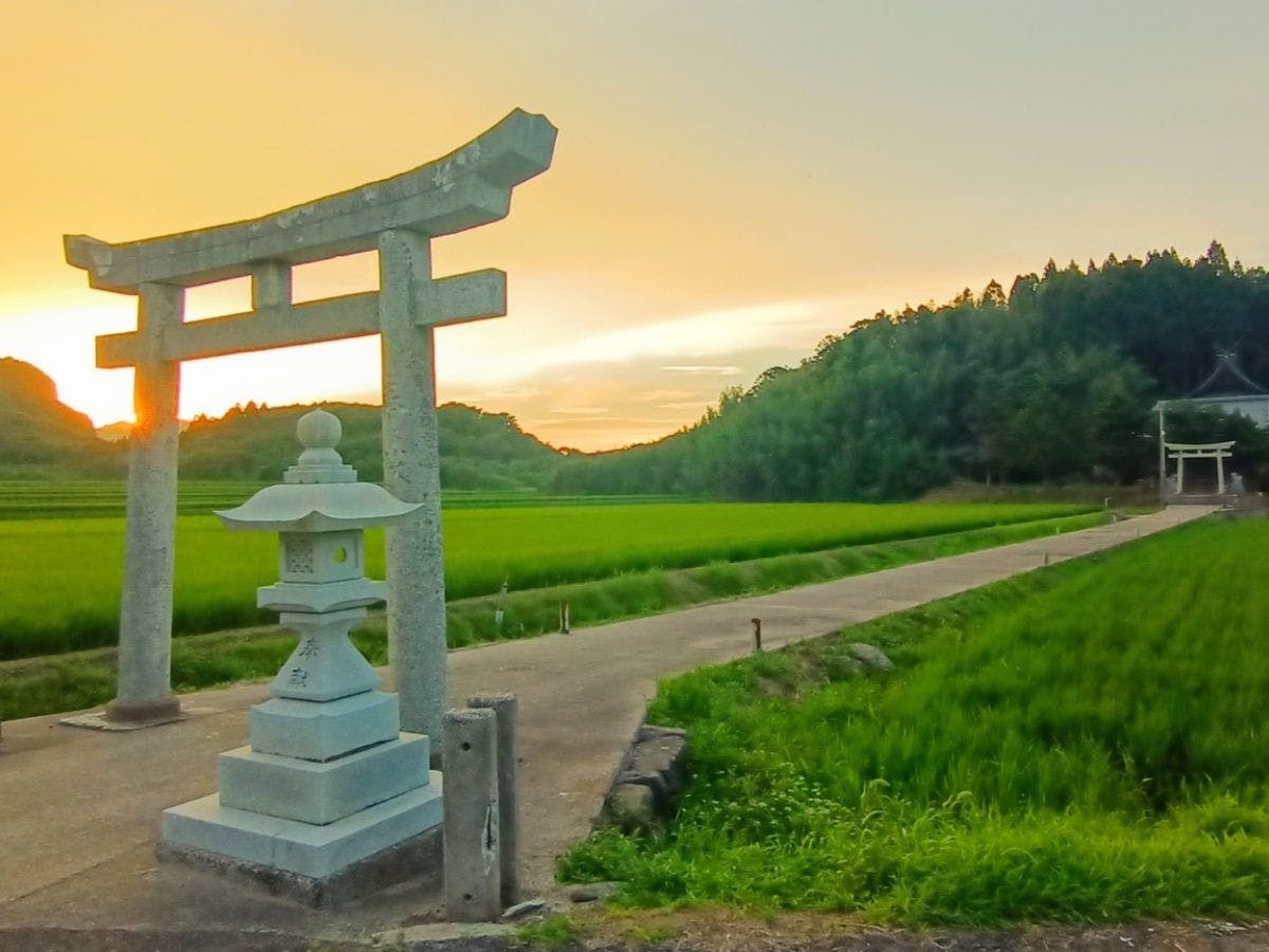 TADAYOI