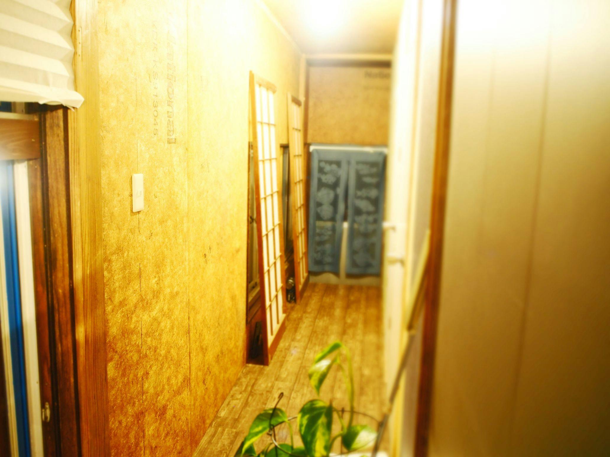 TRIP BASE COCONEEL