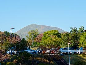 伊豆高原古民家の宿美陽