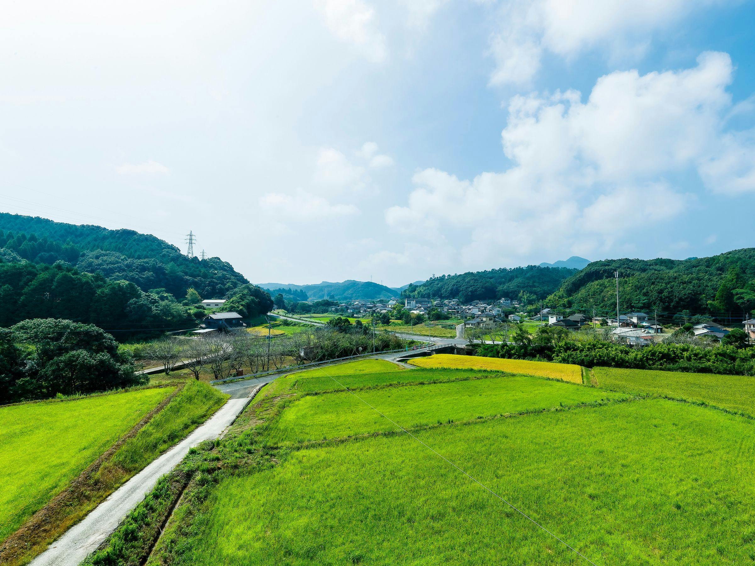 Yasuragi Inn