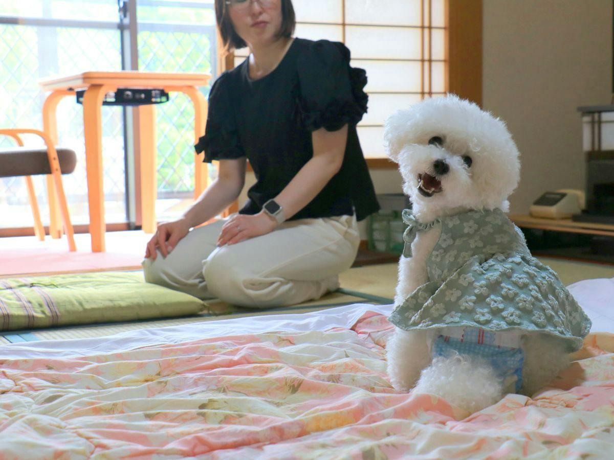 Obana Ryokan Fukitei