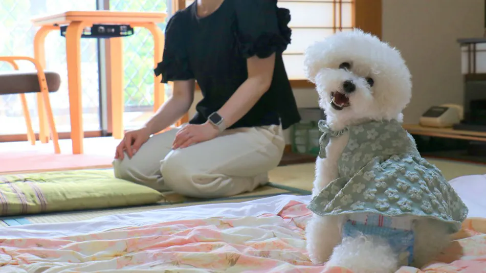 Obana Ryokan Fukitei