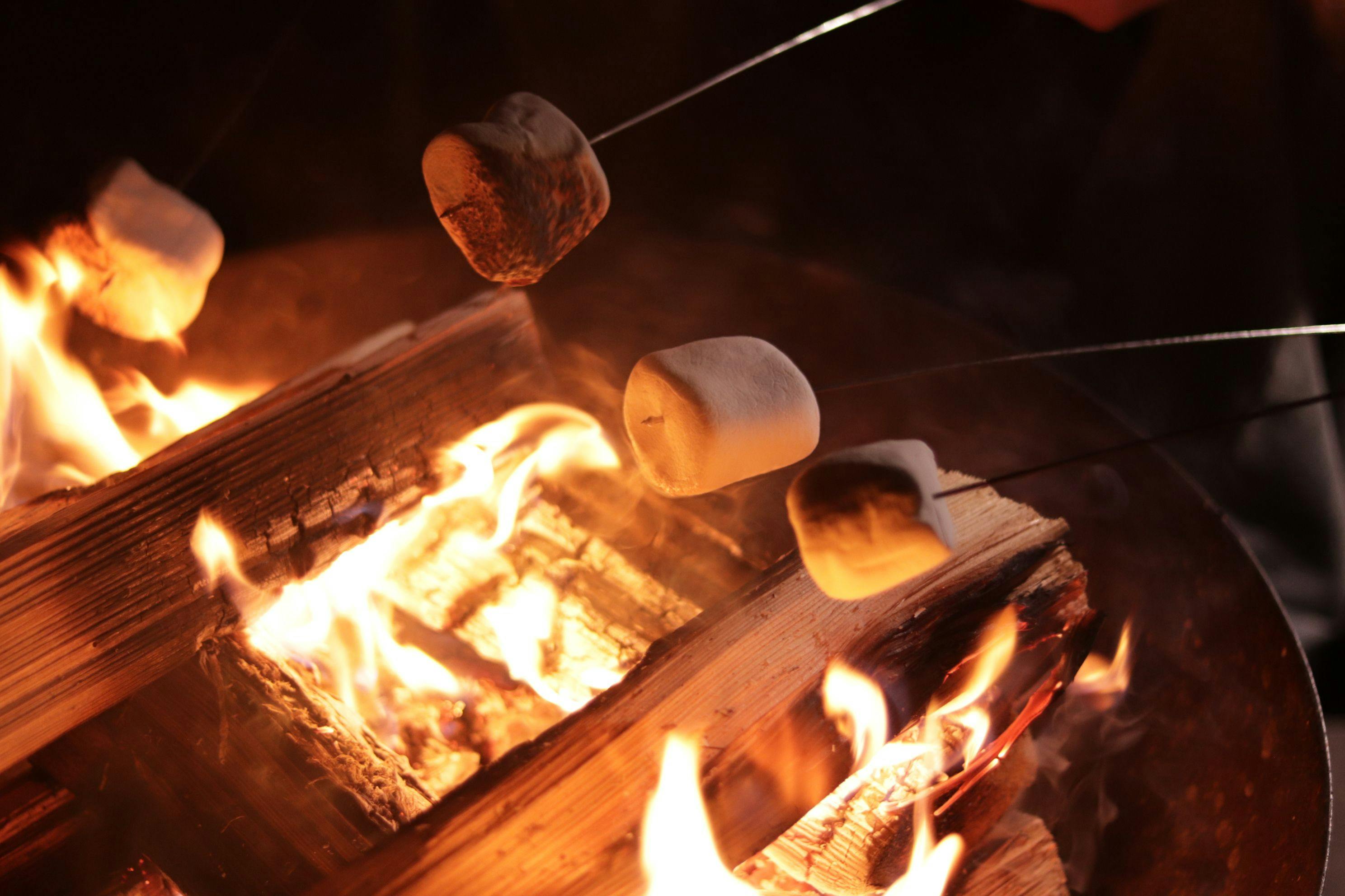 모닥불에 마시멜로를 구워 먹을 수 있어요♪