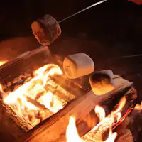 모닥불에 마시멜로를 구워 먹을 수 있어요♪