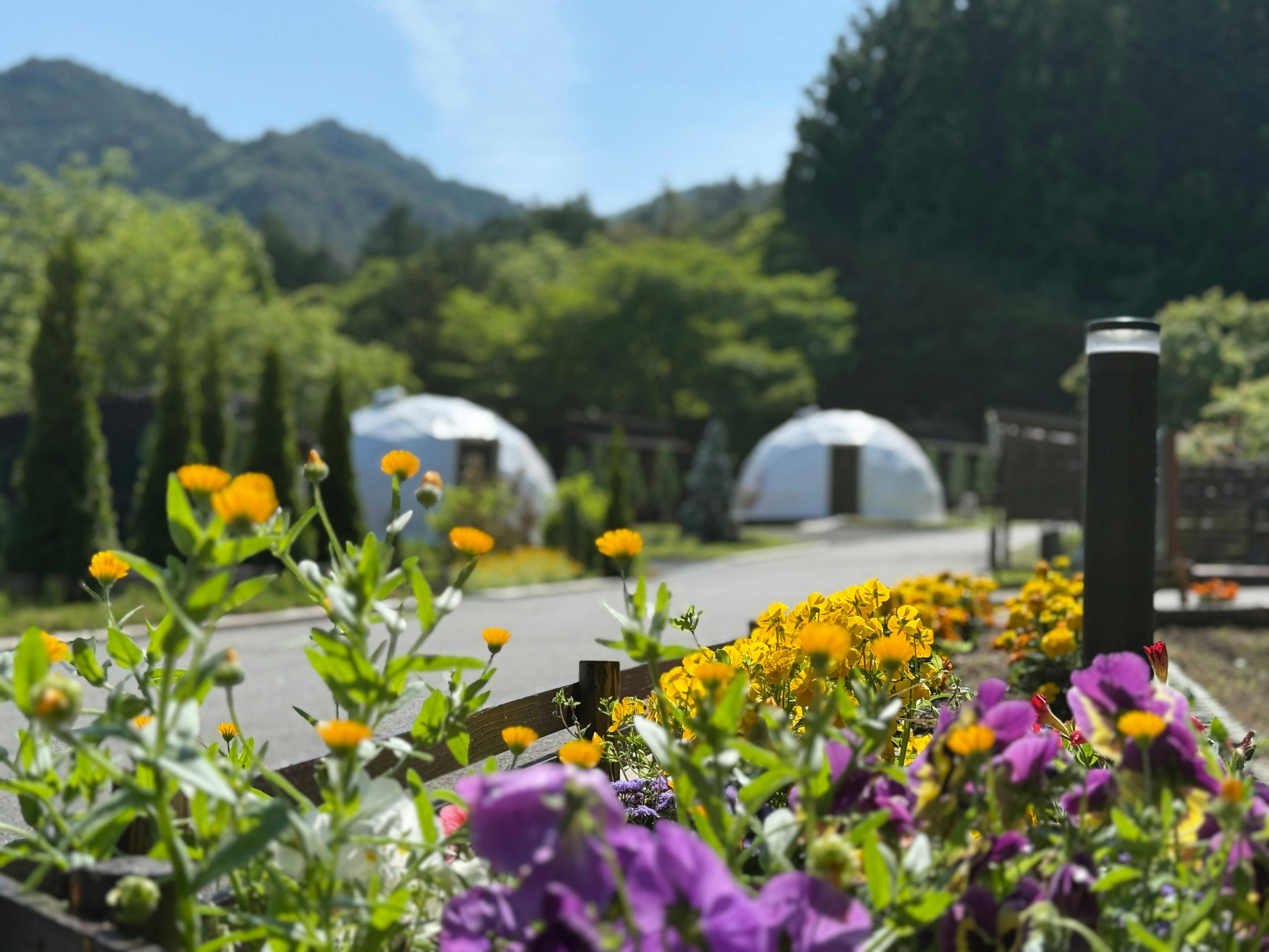 Workation Resort THE FOREST