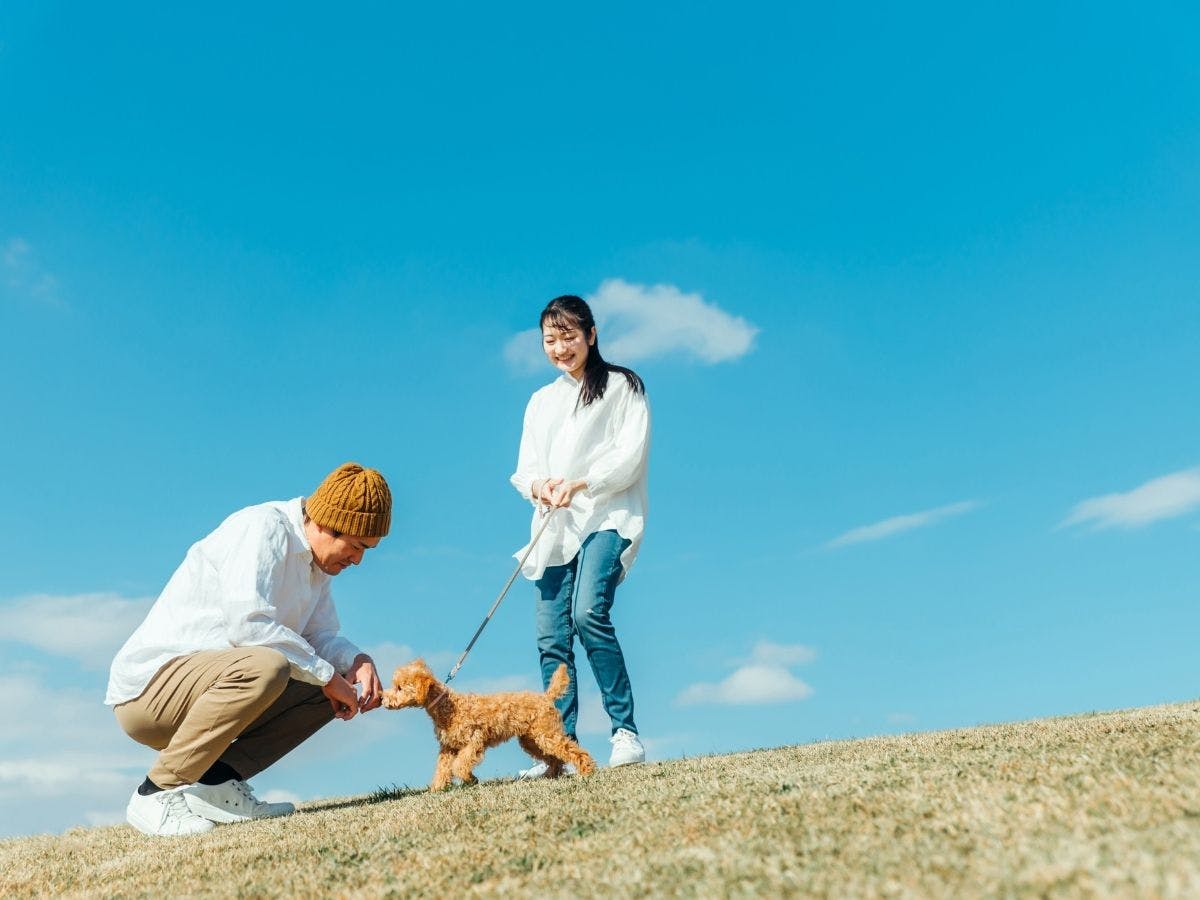 與愛犬一起享受高原住宿♪附設狗狗跑跑區方案