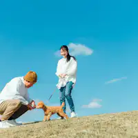 เข้าพักบนที่ราบสูงพร้อมสุนัขแสนรัก♪แผนพร้อมสนามวิ่งเล่นสำหรับสุนัข