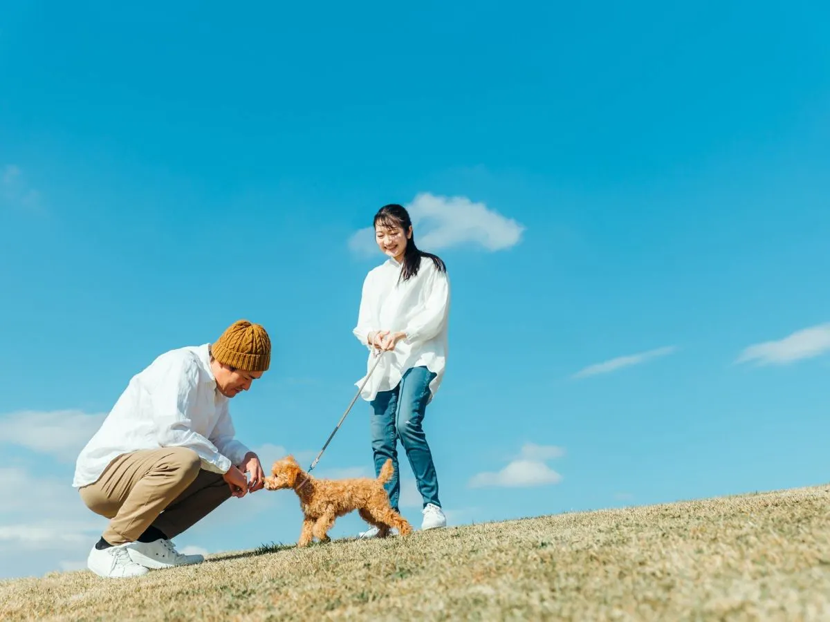 與愛犬共度高原假期