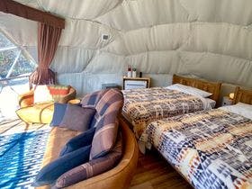 保古グランピング