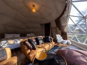 保古グランピング