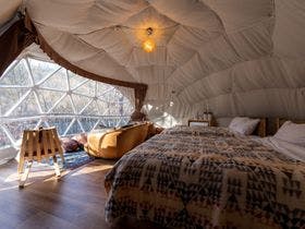 保古グランピング