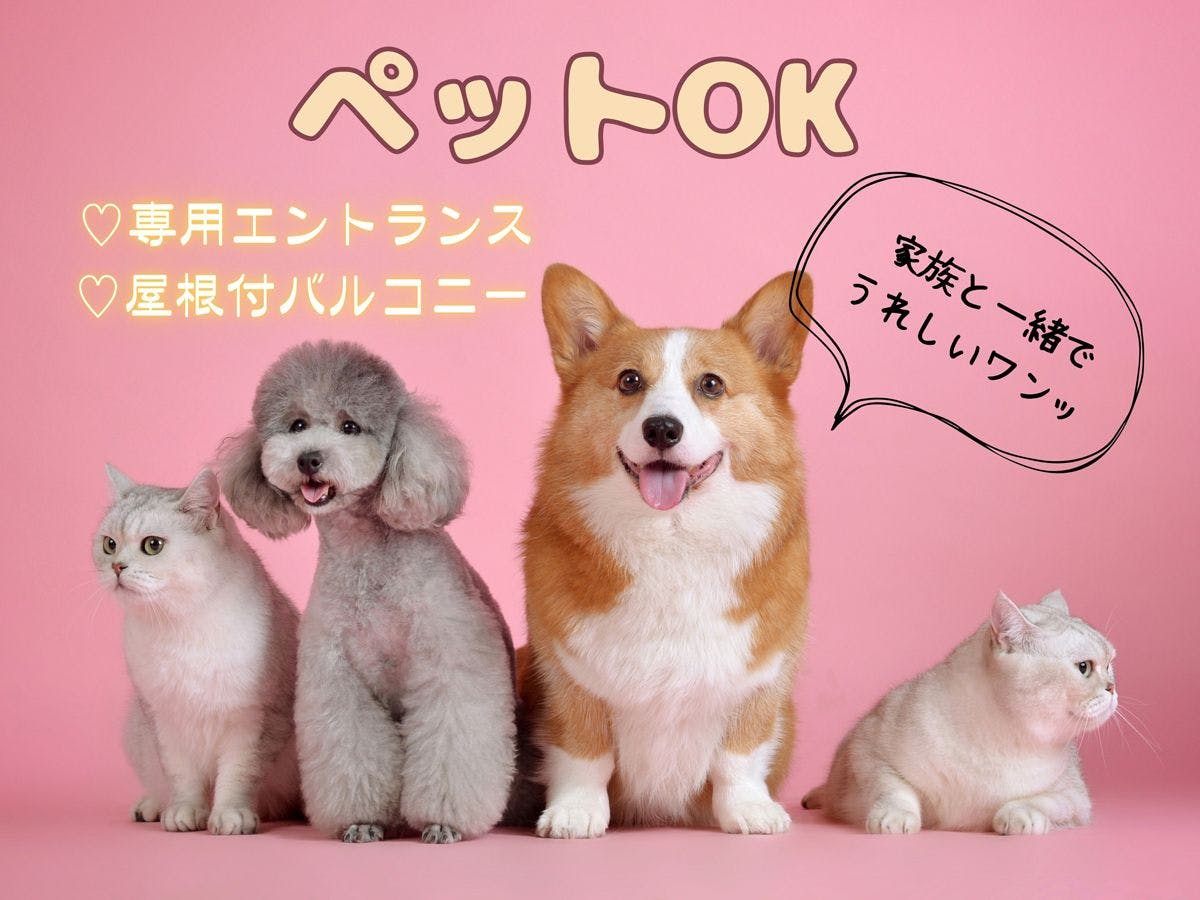 น่ารักไปกับครอบครัวของคุณ♪