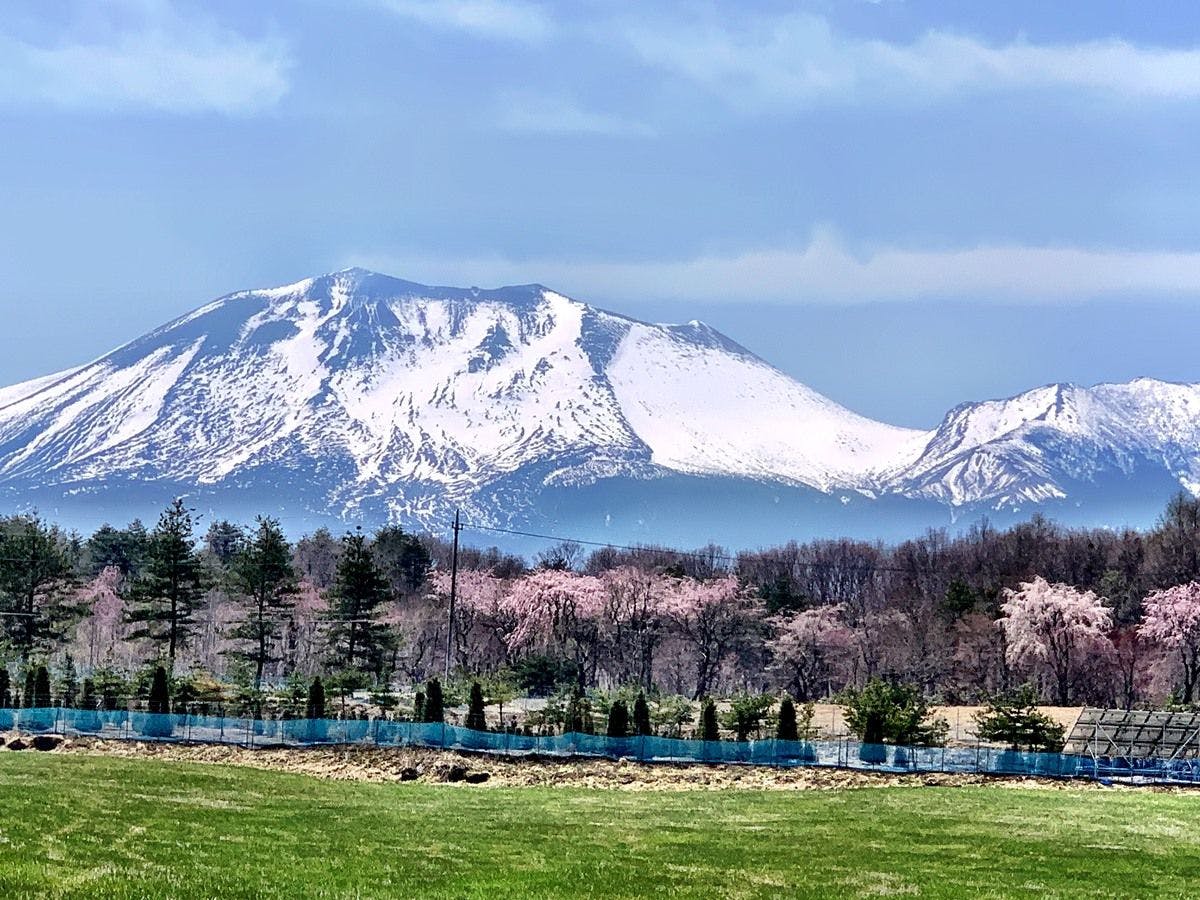 * ทิวทัศน์โดยรอบ (ฤดูใบไม้ผลิ)