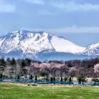 * ทิวทัศน์โดยรอบ (ฤดูใบไม้ผลิ)