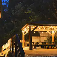 เทอเรสบาร์บีคิวล้อมรอบด้วยป่า