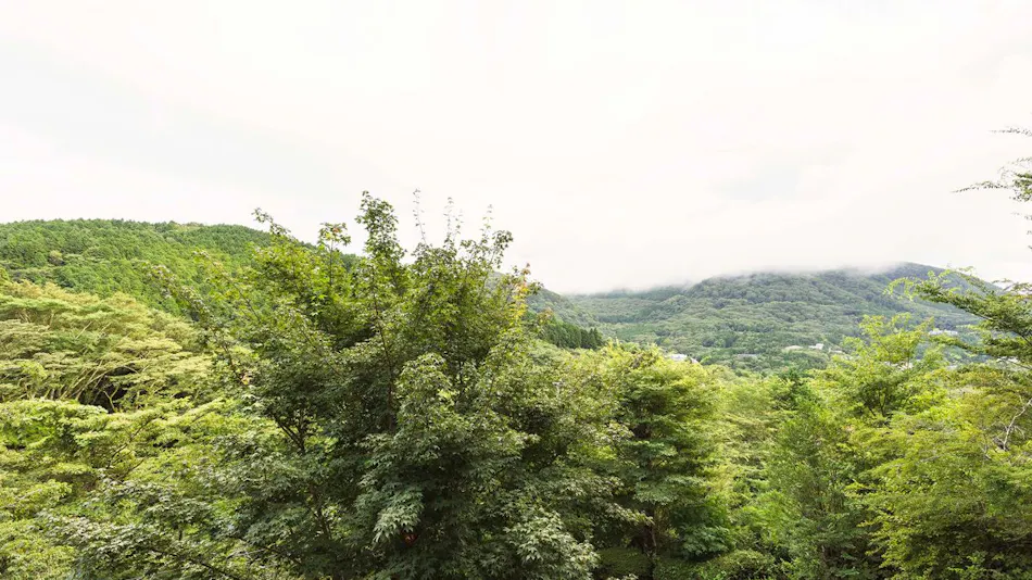 SPRINGS VILLAGE Hakone Glamping Resort