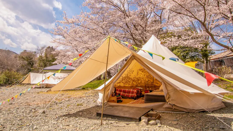Tokitama Himitsukichi COMORIVER
